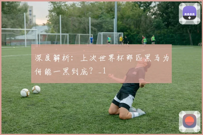 深度解析：上次世界杯那匹黑马为何能一黑到底？_1